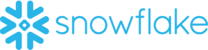 Snowflake_Logo.svg